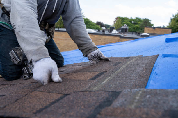 Best New Roof Installation  in Laurel, VA