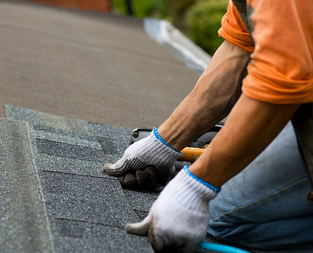 Roof Gutter Cleaning in Laurel, VA