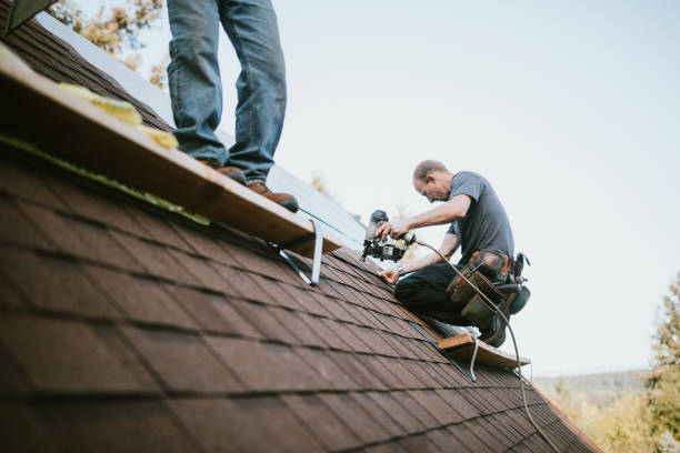 Best Roof Gutter Cleaning  in Laurel, VA